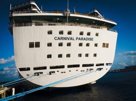 10 Reasons You Need to Take a Carnival Paradise Cruise Carnival Paradise Cruise Ship, Carnival Paradise, Carnival Ships, Carnival Cruise Ships, Ship Map, Carnival Cruise, 10 Reasons, Cruise Ship, Ocean View