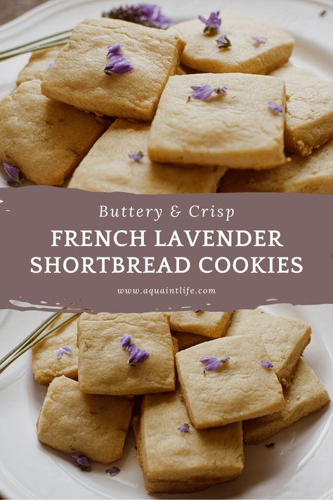 French Lavender Shortbread Cookies - A Quaint Life Cookies For Spring, Lavender Shortbread Cookies, Cottagecore Recipes, Lavender Shortbread, Lavender Recipes, Culinary Lavender, Shortbread Recipes, Coffee Cookies, Buttery Cookies