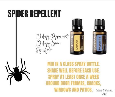 Doterra Spider Repellent, Essential Oil For Spider Repellent, Spider Essential Oil Repellent, Essential Oils For Spiders, Spider Repellent Diy Indoor, Spider Repellent Diy Essential Oils, Diy Poofs, Spider Repellent Diy, Spray For Spiders