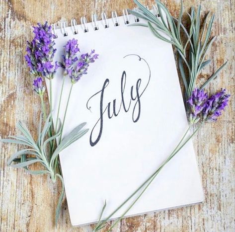 Welcome July, Seasons Months, Hello July, Flowers Craft, January To December, Days And Months, Lovely Lavender, Seasons Of The Year, New Month