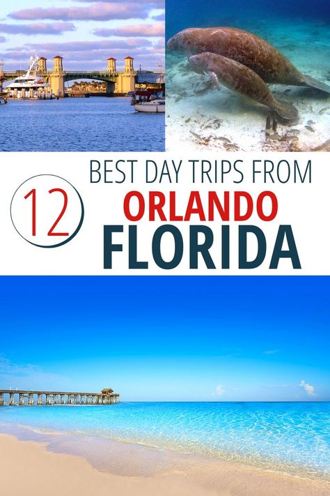 12 Best day trips from Orlando Florida including St Augustine, Crystal River, and Cocoa Beach. Champions Gate Florida, Usa Beach, Legoland Florida, Florida Adventures, Usa Roadtrip, Orlando Travel, Usa Beaches, Florida Resorts, Real Mermaids