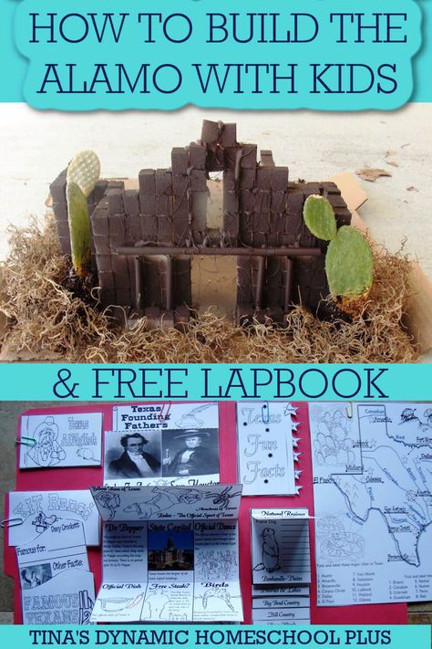 The Alamo Project For Kids, Alamo Project For School 4th Grade, Alamo Project For School, Alamo Activities, Homeschool Unit Study Ideas, Alamo Project, Texas Homeschool, Unit Study Ideas, American History Homeschool