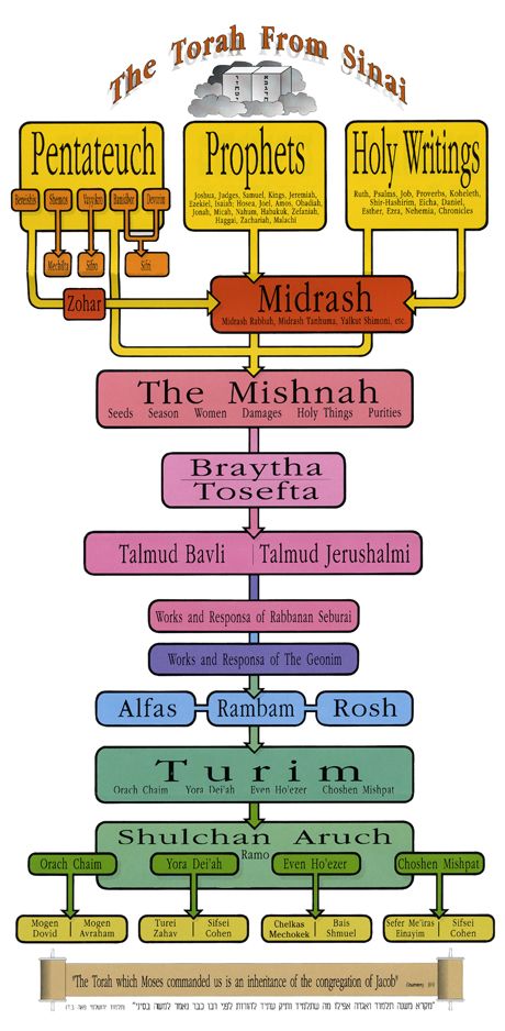 The Torah from Sinai - A Diagram - Shavuot Kosher Rules, Sabbath Quotes, Aviation Education, Torah Study, Simchat Torah, Hebrew School, The Torah, Hebrew Language, Bible Illustrations