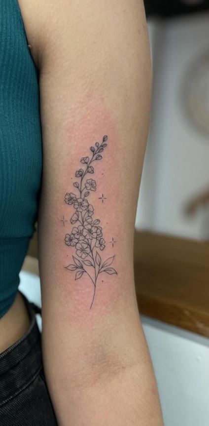 Birth Flower Tattoos Larkspur, July North Flower Tattoo, Larkspur Water Lily Bouquet Tattoo, Larkspur And Moon Tattoo, Larkspur Hummingbird Tattoo, July Bouquet Tattoo, Larkspur Chrysanthemum Tattoo, Larkspur Delphinium Tattoo, July Birth Flower Tattoo Ideas