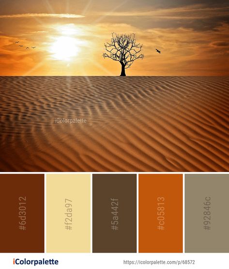 Desert Images, Desert Color Palette, Ochre Color, Color Palette Ideas, Desert Colors, Palette Ideas, Serbia And Montenegro, Brand Color Palette, Desert Sunset