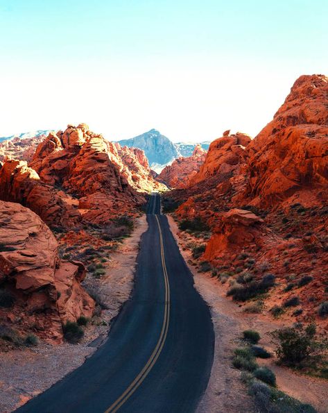 10 Insane Nature Spots in America You Simply Need to See : The Down Lo Fly Geyser, Best National Parks, Valley Of Fire State Park, Utah Vacation, Nevada Desert, Grand Canyon Arizona, Utah Road Trip, Valley Of Fire, Southern Utah