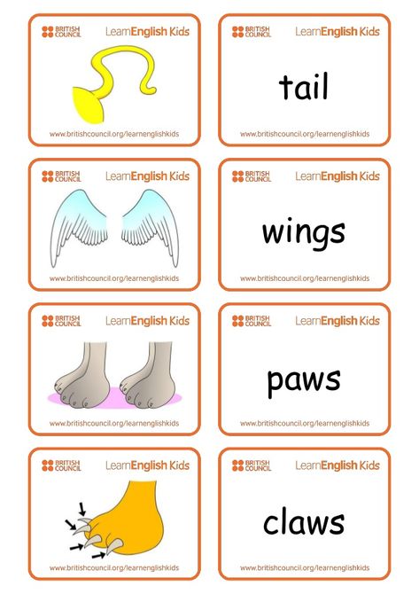 Flashcards animal-body-parts Classification Of Animals, Animals Name In English, Body Parts Preschool, Animal Lessons, Animal Body Parts, Animal Classification, Animal Worksheets, Learning English For Kids, Learn English Grammar