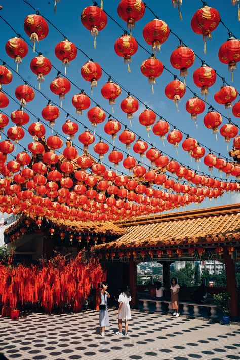 Chinese New Year Pictures, Chinese New Year Images, Fireworks Clipart, Lantern Image, Hanging Paper Lanterns, China Culture, New Year Pictures, Festivals Around The World, New Year Images