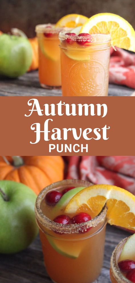 Fall Drinks Alcohol, Harvest Punch, Alcohol Punch, Fall Punch Recipes, Fall Punch, Alcohol Shots, Thanksgiving Punch, Thanksgiving Cocktail Recipes, Fall Drink Recipes