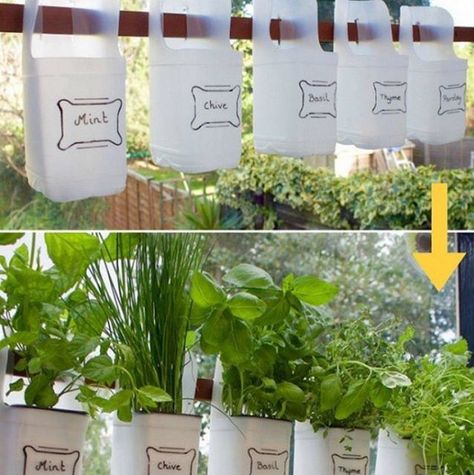 Every gardener has their own wacky solutions that really work, so we’ve rounded up some of the best #GardeningHacks from Instagram that will save you time and major frustration. Here are 10 of our fav Milk Jugs Garden, Milk Jug Crafts, Plastic Milk Bottles, Plastic Milk, Vertical Herb Garden, Gardening Hacks, Milk Jugs, Rustic Crafts, Diy Greenhouse