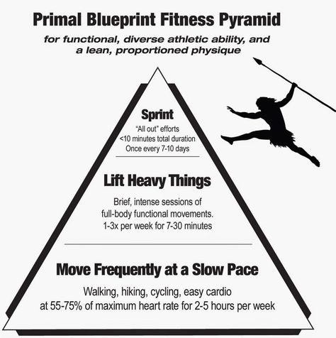 My Take on the Primal Blueprint Certification Workout Stretches, Mark Sisson, Paleo Workout, Primal Blueprint, Chronic Lyme, Primal Diet, Low Glycemic Foods, Paleo Lifestyle, Mental Focus