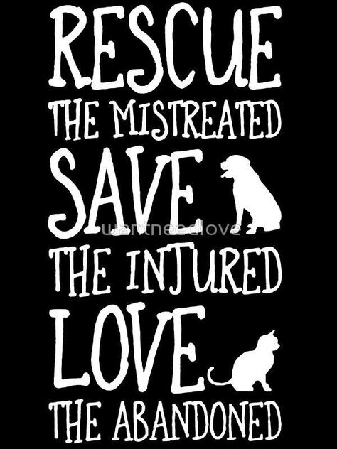 Cat Rescue Quotes, Dog Adoption Quotes, Animal Rescue Quotes, Rescue Quotes, Adoption Quotes, Pet Things, Dog Quotes Funny, Puppy Play, Pet Signs