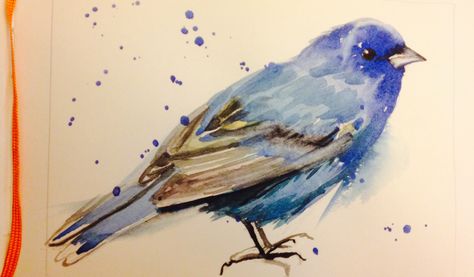 Indigo Bunting Tattoo, Bunting Bird, Indigo Bunting, Bird Drawings, Pretty Art, Drawing Inspiration, Blue Bird, Bunting, Nature Art