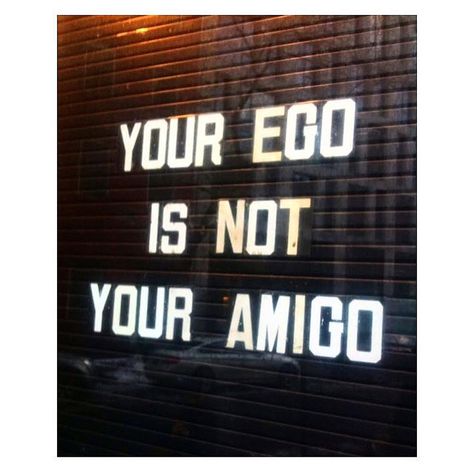 MameccaLoveNYC My Home Town! ~ LOL :-D ReaL Talk! :-P ;-) <3 No Ego, She Wolf, Truth Hurts, Mantra, Positive Vibes, Life Lessons, Wise Words, Quotes To Live By, Me Quotes