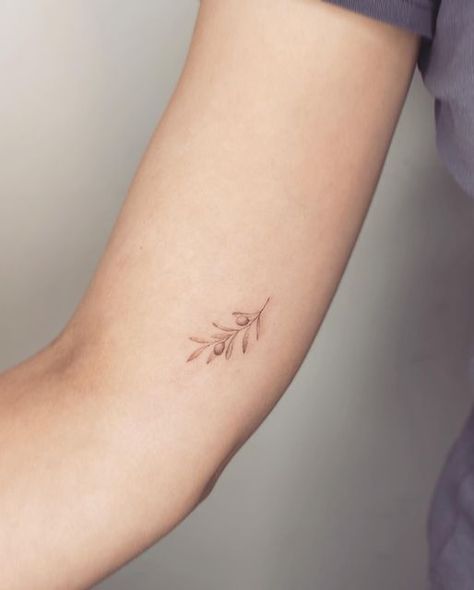 Olive Tree Tattoos, Greece Tattoo, Olive Tattoo, Delicate Tattoos For Women, Olive Branch Tattoo, Lavender Tattoo, Branch Tattoo, Small Pretty Tattoos, Petite Tattoos