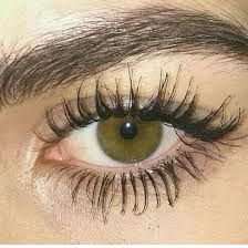 Eyelashes How To Apply, Hazel Green Eyes, Hazel Green, How To Grow Eyelashes, Thick Lashes, Eyelashes Mascara, Aesthetic Eyes, Growth Serum, Eyebrow Brush