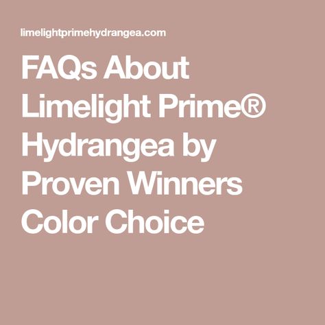 FAQs About Limelight Prime® Hydrangea by Proven Winners Color Choice Types Of Hydrangeas, Panicle Hydrangea, Zone 9, Proven Winners, Garden Equipment, Hydrangea Flower, New Growth, Small Plants, Late Summer