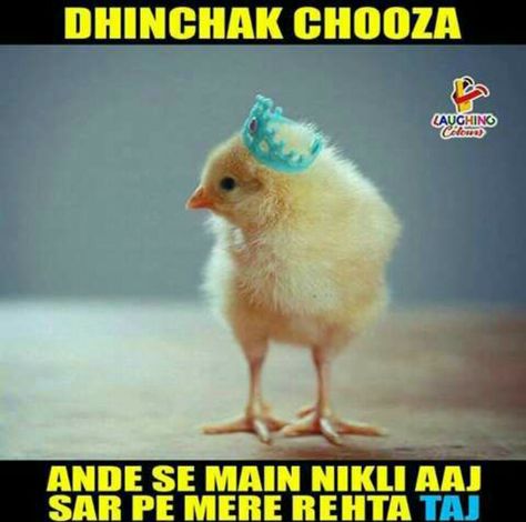 After the successfull launching of Dhinchak Pooja, now we have Dhinchak Chooza Funny Kids Quotes, Dhinchak Pooja, Humor Pictures, Kids Quotes, Funny Quotes For Kids, Funny Puns Jokes, Quotes Humor, Funny School Jokes, Funny Minion Quotes