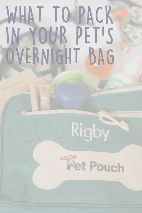 Going away? If your pup is off to a sitter, be sure you pack everything they'll need while you're away. How to pack a bag & travel checklist included! Overnight Bag List, Overnight Bag Checklist, Dog Overnight Bag, What To Pack When Traveling, Puppy Bag, Small Knitting Projects, Travel Packing List, Us Friends, Dog Travel Bag