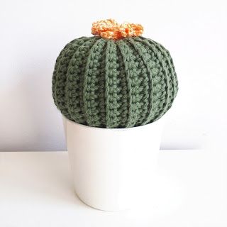 Haak & Maak: Cactus haken Beginner Haken, Crochet Cactus, Cactus, Crochet Hats, Amigurumi, Beer, Van, Crochet, Patchwork