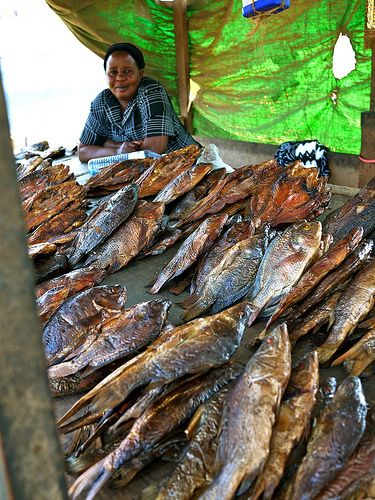 An artisanal fish processor sells smoked and fried Tilapia and Nile Perch in the market, Uganda. Photo by C. Finegold, 2011 | Flickr Congolese Food, Lobster Restaurant, Nile Perch, Fried Tilapia, Uganda Travel, Image Of Fish, Mother Africa, African Royalty, Smoked Fish