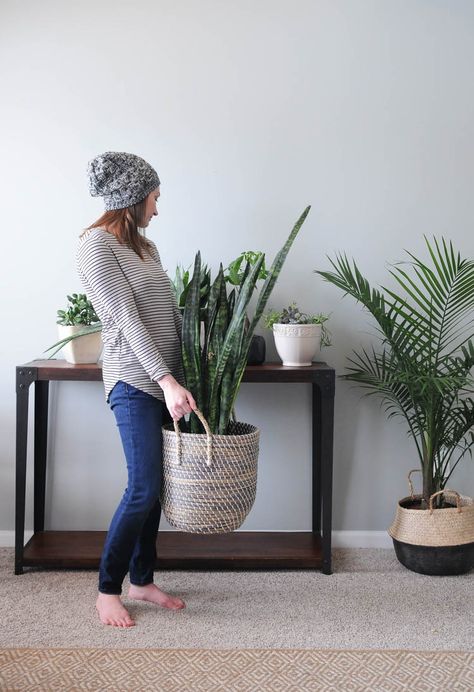 Houseplants add texture and color and go with any style of home decor. Use these tips to learn the basic of how to keep houseplants alive! Houseplants For Beginners, Lodge Ideas, Koti Diy, Plant Friends, Interior Boho, Room Vibes, Gardening Diy, Flower Room, Inside Plants