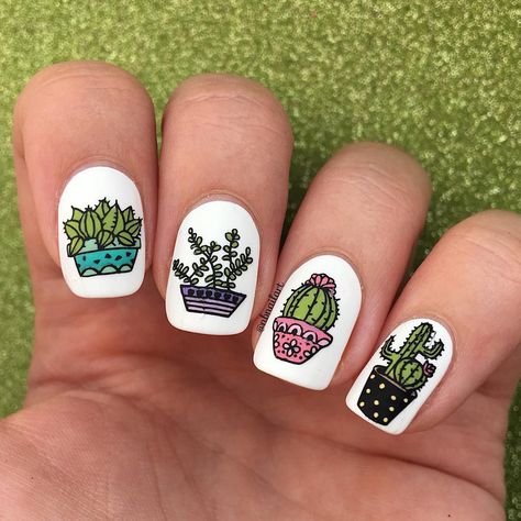 Cactus succulents nail designs Succulent Nails, M Nails, Ideas Uñas, 3d Nail Designs, Negative Space Nails, Cactus Succulents, Cute Cactus, Nice Nails, Stamping Nail Art