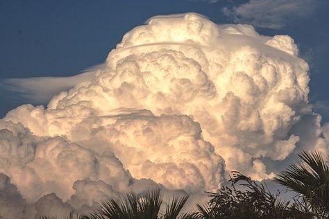 Cumulonimbus Nimbus Cloud Storm Cloud Cumulonimbus Clouds, Cumulonimbus Cloud, Plains Landscape, Mammatus Clouds, Environment Reference, Nimbus Cloud, Cumulus Clouds, Western Paintings, Clouds Photography