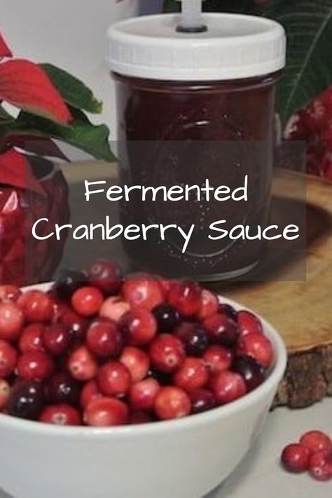 Reduce the sweetener and add probiotics to this favorite holiday condiment! Fermented cranberrry sauce is simple to make and absolutely delicious! #foodismedicine #ntp #nutrientdensity #guthealth #leakygut #probiotics #reclaimingvitality Fermented Cranberries, Rich Holiday, Easy Cranberry Sauce, Fermented Honey, Probiotic Benefits, Probiotic Foods, Natural Parenting, Cranberry Sauce, Fermented Foods