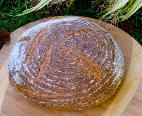 Red Lentil Sourdough Bread | The Fresh Loaf  [Nice, easy to handle loaf. I made half the dough, added 1 Tbsp turmeric powder and some mustard and cumin seeds with the salt after letting the final dough rest before S&Fs. Flavorful, nice even crumb.] Lentil Dessert, Lentil Bread Recipe, Lentil Bread, Red Lentils, Bakers Rack, Baking Stone, Lentil Recipes, Best Sandwich, Bread And Pastries