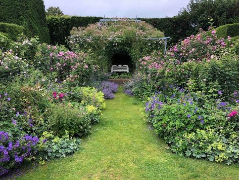 Gertrude Jekyll Garden, Gertrude Jekyll Garden Design, Cotswold Garden, Garden School, Border Garden, Gertrude Jekyll, Gardens Flowers, Chelsea Garden, Gardening Inspiration