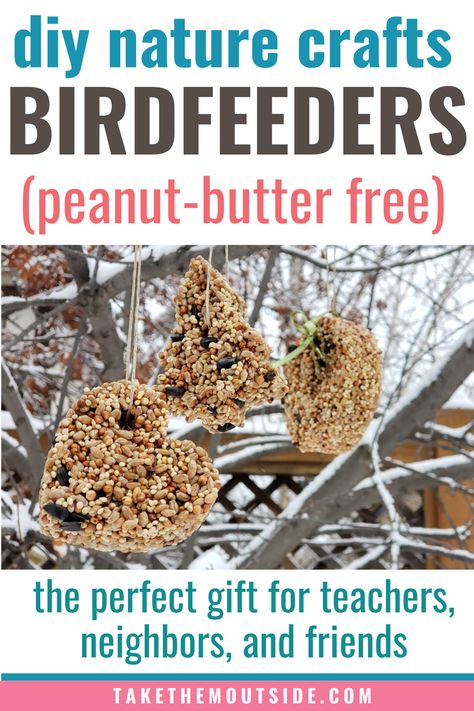 Check out these easydiy birdfeeders made from birdseed and gelatine (no peanut butter needed). These are great gifts for teachers and neighbors. #diybirdfeeders Apple Bird Feeder Diy, Birdseed Ornaments Recipe Peanut Butter, Peanut Butter Bird Seed Ornaments, Homemade Bird Treats, Peanut Butter Bird Feeder Diy, Diy Bird Feeder Kids, Birdseed Crafts, Bird Feeder Ornaments, Diy Birdseed Ornaments