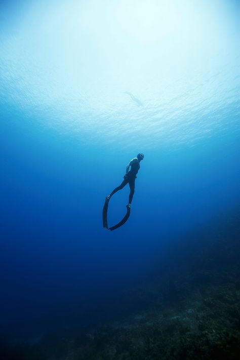 If you love the water, then freediving is for you. At Free Dive Utila, Central America’s first freediving school, we are committed to helping you unlock your natural aquatic ability. Come and see for yourself. Free Diving Aesthetic, Sea Images, Diving School, Free Dive, Navy Diver, Skin Diving, Deep Photos, Underwater Pictures, Deep Sea Diving