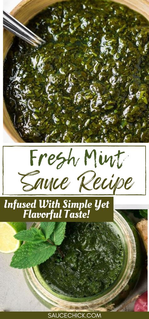 Fresh Mint Sauce Recipe Lamb Sauce Recipes, Mint Sauce Recipe, Lamb Sauce, Mint Sauce, Mint Recipes, Small Food Processor, Homemade Salads, Green Sauce, Homemade Salad Dressing