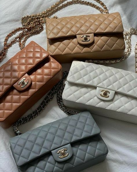 Chanel Classic Flap Bag, Luxury Bags Collection, Chanel Flap Bag, Chanel Purse, Luxury Purses, Fancy Bags, Chanel Bags, Gucci Bags, Branded Bags