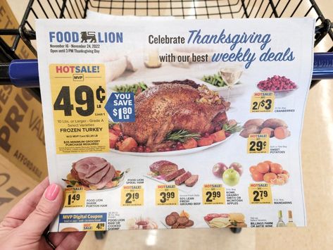 Food Lion Weekly Coupon Deals: Nov. 16 - Nov. 24 Giant Vegetable, Lays Potato Chips, Turkey Hill, Spiral Ham, Frozen Turkey, Cracker Snacks, Cream Soup, Krazy Coupon Lady, Donut Glaze