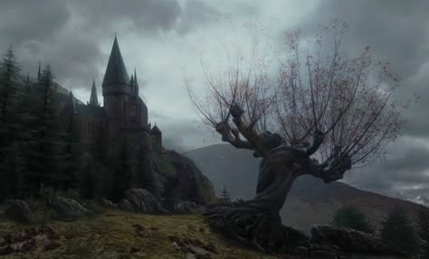 First September, Whomping Willow, Anime Sasuke, Forbidden Forest, Harry Potter Wall, Harry Potter Background, Us Forever, Magical Tree, Hogwarts Aesthetic