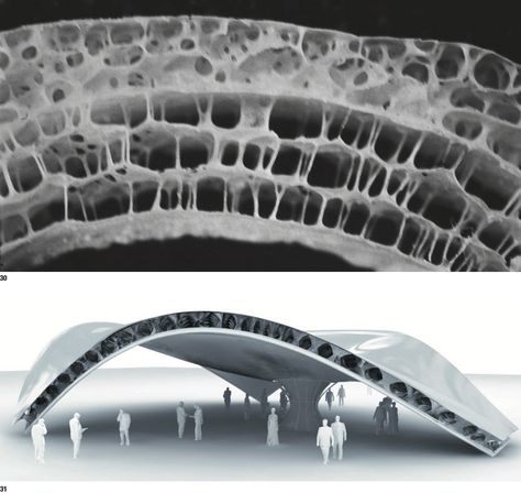 Bionic Architecture Concept, Biomimicry Architecture Concept, Biological Architecture, Biomimicry In Architecture, Bionic Architecture, Tectonic Architecture, Biomimicry Design, Architecture Pavilion, Form Concept