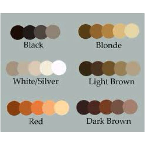 Hair color Hair Colors Drawing Reference, Hair Shading Palette, Hair Shading Color Palette, Brown Hair Colors Palette, Dark Brown Hair Color Palette, Blonde Hair Color Pallete, Brown Hair Color Palette Digital Art, White Hair Pallete, Dark Brown Hair Drawing