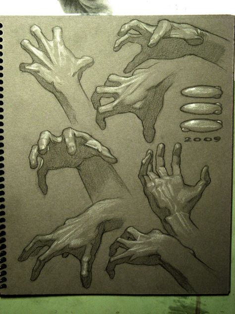 Hands Anatomy For Artists, Anatomy Drawing, Anatomy Reference, Character Design References, Drawing Challenge, Art Studies, Life Drawing, A Drawing, Design Reference