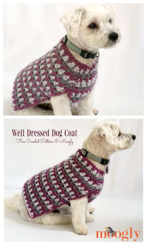 Dog Sweater Free Crochet Patterns - DIY Magazine Free Crochet Dog Sweater Pattern Easy, Crochet Dog Coat Free Pattern, Crochet Dog Sweater Free Pattern Large, Crochet Dog Accessories, Crochet Dog Sweater Free Pattern, Crochet Pets, Diy Dog Sweater, Large Dog Sweaters, Cat Hats