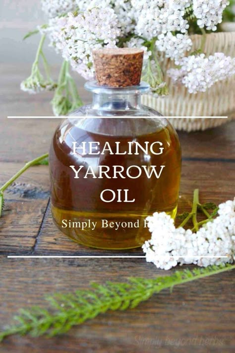 Yarrow Oil, Medicine Recipes, Herbal Oils, Herbal Medicine Recipes, Home Apothecary, Herbal Remedies Recipes, Medicinal Herbs Garden, Colon Detox, Herbal Salves