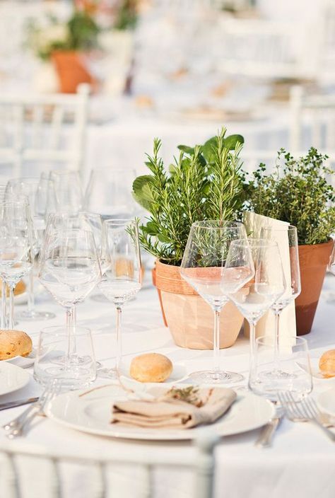 rustic potted herbs wedding centerpiece / http://www.himisspuff.com/potted-plants-wedding-decor-ideas/9/ Herb Wedding Centerpieces, Herb Centerpieces, Tie Photography, Tuscany Italy Wedding, Herb Wedding, Plant Centerpieces, Rustic Wedding Decorations, Outdoor Dinner Parties, Outdoor Dinner