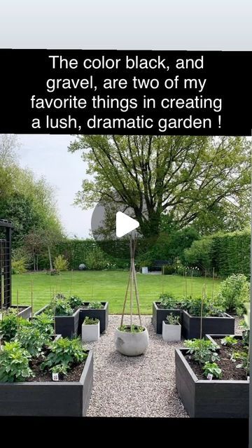 Scandi Garden, Scandinavian Garden, Gravel Garden, Black Garden, Picture Credit, Lawn And Garden, Garden Styles, Scandinavian Style, Garden Inspiration