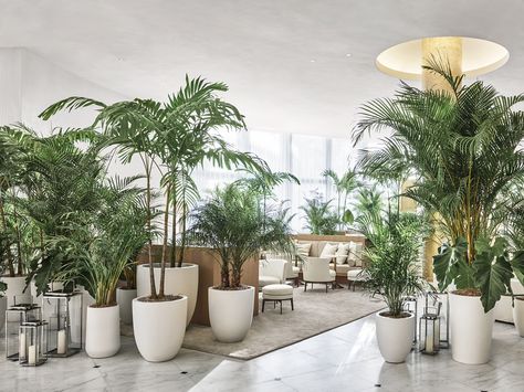 The lobby at the Miami Beach EDITION Large Tree Planters, Edition Miami, Miami Beach Edition, Extra Large Planters, Miami Beach Hotels, Edition Hotel, Fiberglass Planters, Office Plants, The Lobby