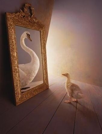 Girls Camp Devotional, Victoria Station, Ugly Duckling, Lds Quotes, White Swan, Girls Camp, Hans Christian, A Mirror, Pics Art