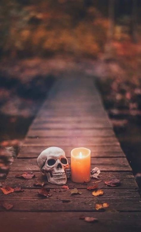 Busy Drawing, Idea To Paint, Hd Iphone Wallpaper, Skull Candles, Stuffed Pumpkin, Chaotic Energy, Halloween Wallpaper Iphone Backgrounds, Wallpaper For Desktop, Halloween Facts