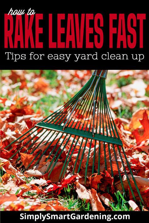 Fall is the perfect time to get a jump on all the garden chores. You are going to have a HUGE pile of leaves when fall arrives! Discover how to rake leaves fast with these clever hacks and cut your fall leaf cleanup time in half! Check out the full list of tips for easy yard clean up that will leave your lawn and yard looking tidy and presentable this fall. Click to get more details. #simplysmartgardening #fallleafcleanup #gardenchores Raking Leaves Hack, Leaf Cleanup Hacks, Yard Clean Up Tips, Garden Maintenance Schedule, Fall Lawn Maintenance, Leaf Clean Up, Pile Of Leaves, Homestead Gardening, Raking Leaves