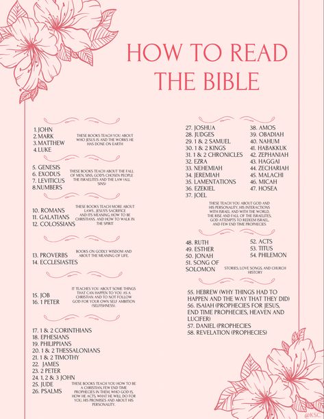 Breakdown of the books of the Bible to have a better understanding 🤍 Learn The Bible, Comforting Bible Verses, Bible Study Plans, Bible Study Methods, Bible Study Tips, Inspire Bible Journaling, Read The Bible, Bible Study Guide, Bible Study Notebook