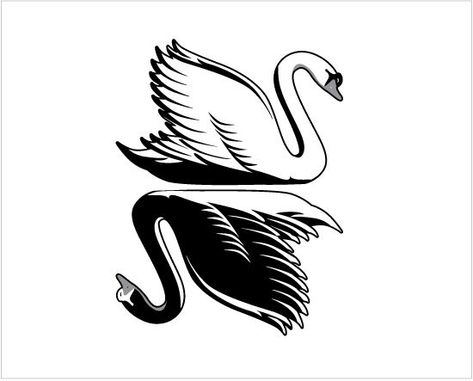 Image result for celtic swan tattoos White And Black Swan, Flight Pics, Soman Chainani, Black Swan Tattoo, Goose Tattoo, Swan Drawing, Swan Animal, Rose Book, Swan Tattoo